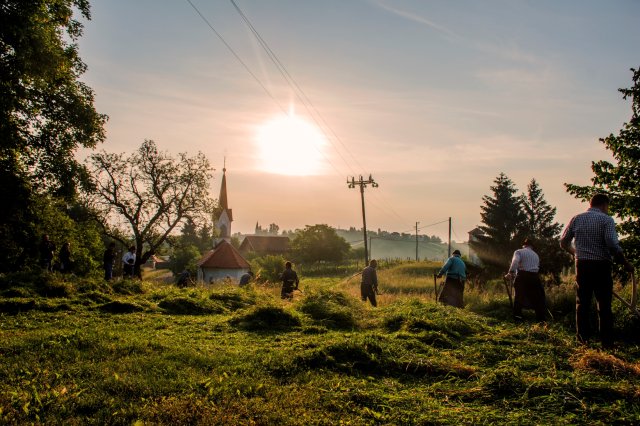 Krajevna skupnost Mala Nedelja